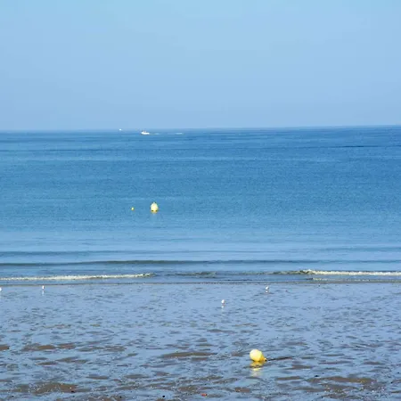 بيت للعطل Tiny House 1 Chambre, Piscine Chauffee, A 200 M De La Plage, - Fr-1-361a-24 *