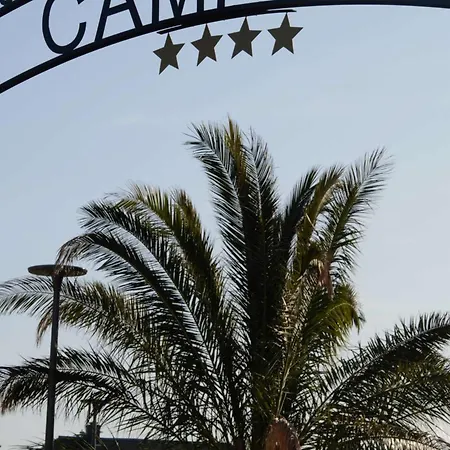 Tiny House 1 Chambre, Piscine Chauffee, A 200 M De La Plage, - Fr-1-361a-24 *