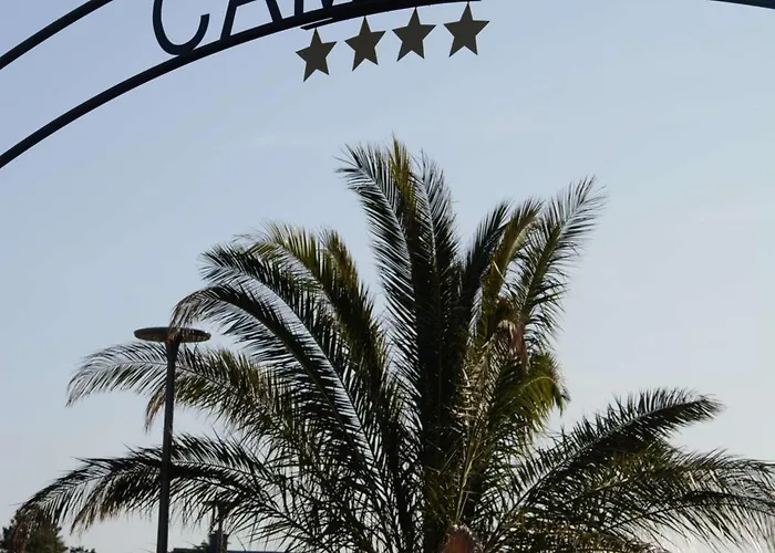 Tiny House 1 Chambre, Piscine Chauffee, A 200 M De La Plage, - Fr-1-361a-24 *